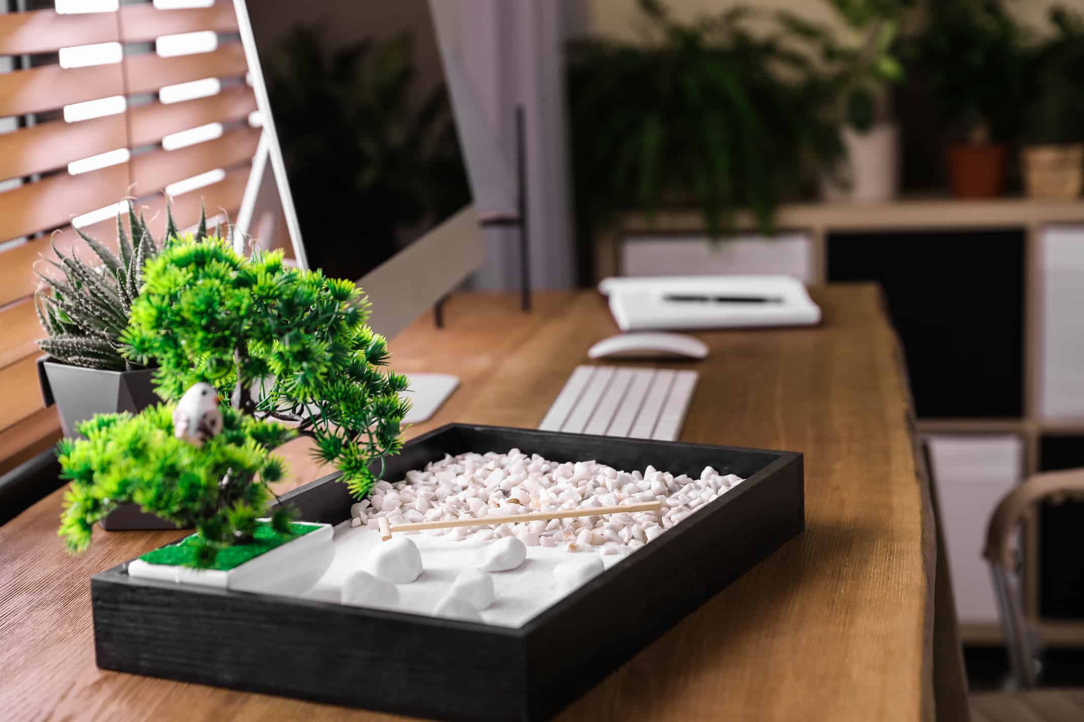 Modern workplace with beautiful miniature zen garden and computer in room