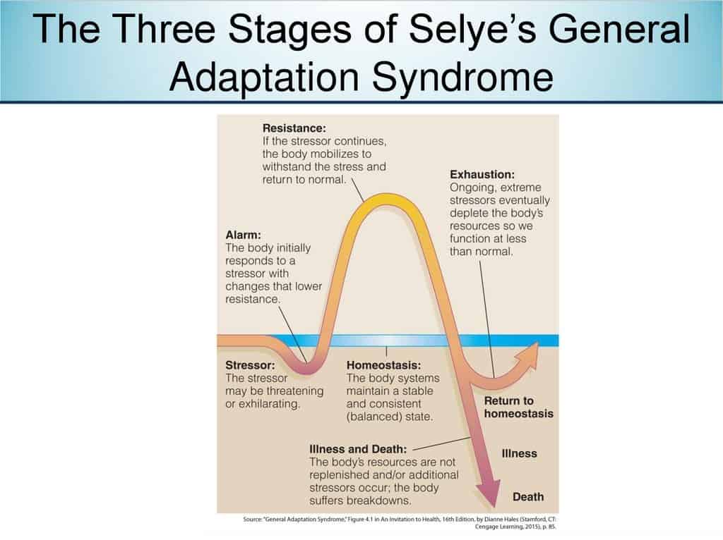 stages-of-general-adaptation-syndrome